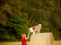 Hundemaedchen_Gaia_Maggy_Mischling_Langhaarcollie_Rough_Border_Collie_Sonnenuntergang_Sommer_Heu_Heuballen (1)