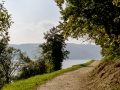 Bodensee_Urlaub_Landschaft_Hunde_See_Insel Mainau_Blumeninsel_Blumen_Wasser (27).jpg