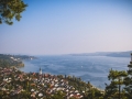 Bodensee_Urlaub_Landschaft_Hunde_See_Insel Mainau_Blumeninsel_Blumen_Wasser (51).jpg