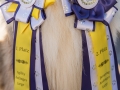 Langhaarcollie_Gaia_Sieger_Schleife_Agility_Erster_Platz_Siegerschleife_bluemerle_stolz (2)