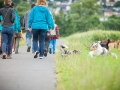 Hundefreunde_Marburg_Hundetreffen_Treffen_Gassi_Langhaarcollie_Gaia_Border_Collie_Mischling_Maggy (2) - Kopie