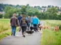 Hundefreunde_Marburg_Hundetreffen_Treffen_Gassi_Langhaarcollie_Gaia_Border_Collie_Mischling_Maggy (3) - Kopie