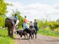 Hundefreunde_Marburg_Gassi_Treffen_Hund_Hunde_Freunde_Coelbe_Spaziergang (17).jpg