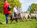 Hundefreunde_Marburg_Gassi_Treffen_Hund_Hunde_Freunde_Coelbe_Spaziergang (28).jpg