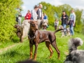 Hundefreunde_Marburg_Gassi_Treffen_Hund_Hunde_Freunde_Coelbe_Spaziergang (30).jpg