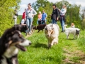 Hundefreunde_Marburg_Gassi_Treffen_Hund_Hunde_Freunde_Coelbe_Spaziergang (36).jpg