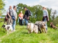 Hundefreunde_Marburg_Gassi_Treffen_Hund_Hunde_Freunde_Coelbe_Spaziergang (38).jpg