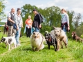 Hundefreunde_Marburg_Gassi_Treffen_Hund_Hunde_Freunde_Coelbe_Spaziergang (39).jpg