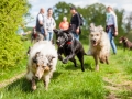 Hundefreunde_Marburg_Gassi_Treffen_Hund_Hunde_Freunde_Coelbe_Spaziergang (40).jpg