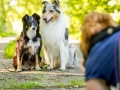 Hundemaedchen_Maggy_Gaia_Langhaarcollie_Border_Collie_Mischling_Hundefotografie_Marburg_Rough_Fotografie_Fotografin_Making_Of (2)