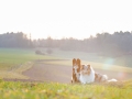 Border_Rough_Collie_Langhaarcollie_Maggy_Gaia_tricolor_bluemerle_Sonnenuntergang_Hundefreunde_Marburg_Wehrda_Freunde (10).jpg