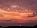 Hundemaechen_Sonnenuntergang_Sonne_Untergang_Natur_Hund_Norden_Schleswig-Holstein_Himmel (14)