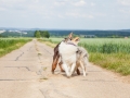 Hundemaedchen_Maggy_Gaia_Border_Collie_Rough_Langhaarcollie_Mischling_Spencer_Dobermann_Hundefreunde_Spaziergang_Treffen_Spiel_Spass (9)