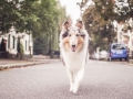 Tierfotografie_Marburg_Hundefotografie_Hund_Langhaarcollie_Rough_Collie_Gaia_bluemerle_Fotoshooting_City_Stadt_Shooting (33).jpg
