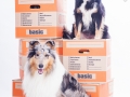 Border_Collie_Mischling_Maggy_tricolor_Langhaarcollir_Rough_Collie_Gaia_bluemerle_Umzugskisten_Umzug_OBI_Karton_Umzugskarton (7).jpg