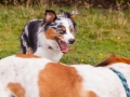 Hundemaedchen_Maggy_Gaia_Langhaarcollie_Border_Collie_Mischling_Wanderung_Hohesrodskopf_Hundefreunde_Forum_Vogelsberg_Spaziergang (63)
