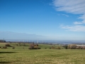 Hundemaedchen_Maggy_Gaia_Hundefreunde_Wanderung_Forum_Theo_Brooke_Smilla_Kito_Ulrichstein_Wandern_Spaziergang (8)