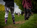 Welpentreff_Junghundetreff_Welpen_Junghunde_Langhaarcollie_Border_Collie_Australian_Shepherd_Mini_Mischling_Gelbbacke_Schaeferhund_Marburg_Gaia_Maggy (22)