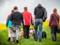 Welpentreff_Junghundetreff_Welpen_Junghunde_Langhaarcollie_Border_Collie_Australian_Shepherd_Mini_Mischling_Gelbbacke_Schaeferhund_Marburg_Gaia_Maggy (3)