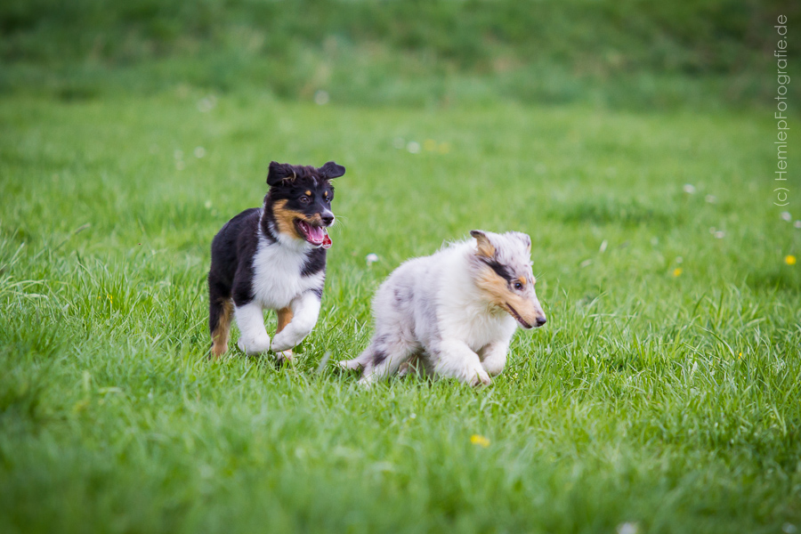 Jungs treffen trotz freund