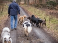 Hundewanderung_Wanderung_Hund_Marburg_Kirchhain_Spaziergang_Gassitreffen_Treffen_Hundetreffen_Hundeschule_Lahntal (27)