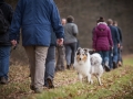 Hundewanderung_Wanderung_Hund_Marburg_Kirchhain_Spaziergang_Gassitreffen_Treffen_Hundetreffen_Hundeschule_Lahntal (66)