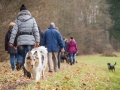 Hundewanderung_Wanderung_Hund_Marburg_Kirchhain_Spaziergang_Gassitreffen_Treffen_Hundetreffen_Hundeschule_Lahntal (76)
