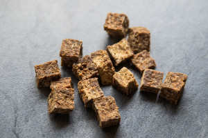 Hundemaedchen_Hunde_Blog_Produkttest_Terra_Canis (16)