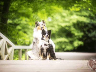 Fotografentreffen in Kassel