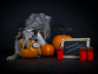 Shooting bei Anne Günst