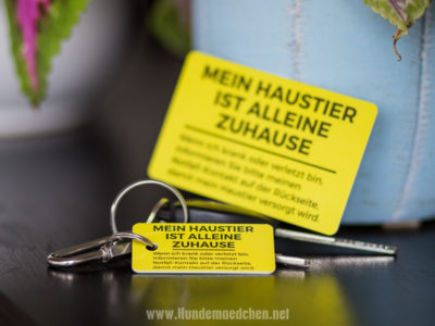 Getestet | Haustier Norfallkarte