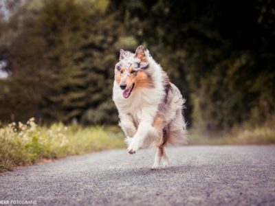 Mini-Shooting mit Nina Herr