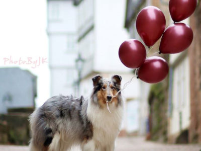 Fotoshooting mit Jasmin