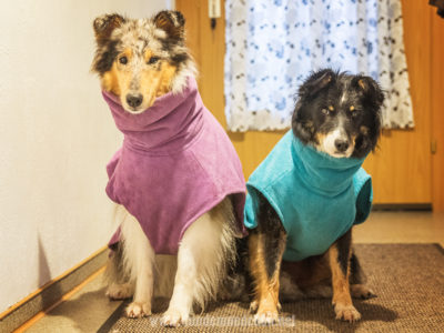 Bademantel für den Hund?