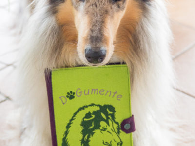 DOGumentenmappe