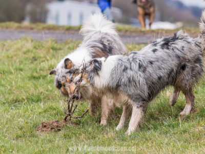 Kleines Gassitreffen in Rauschenberg