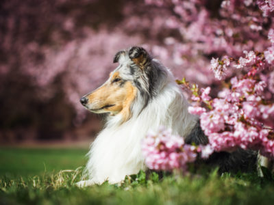 Unser April | Es wird Frühling