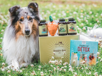 Getestet | Doggie Box von Terra Canis